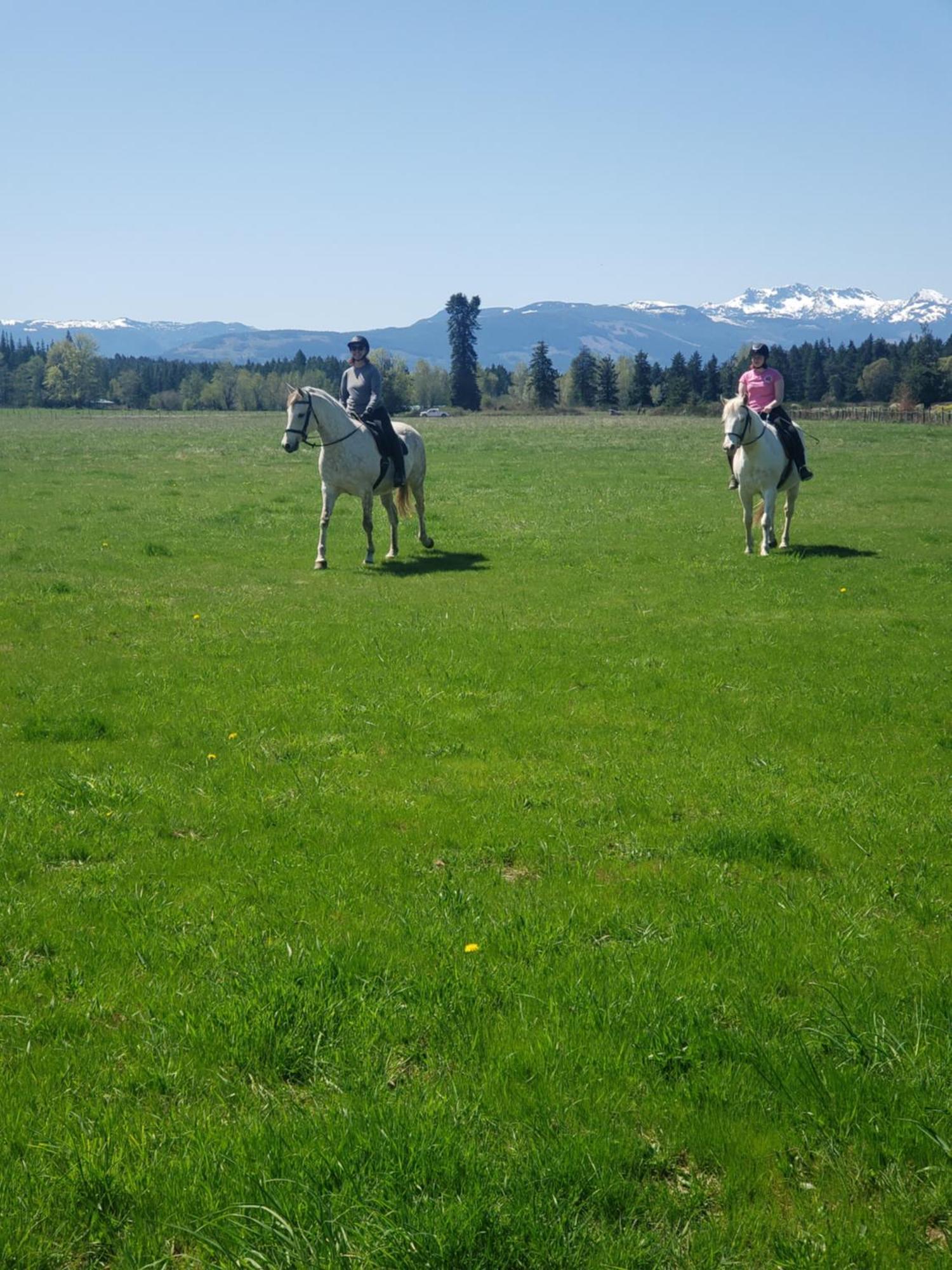 Paradise Acres Ranch Nanoose Bay エクステリア 写真