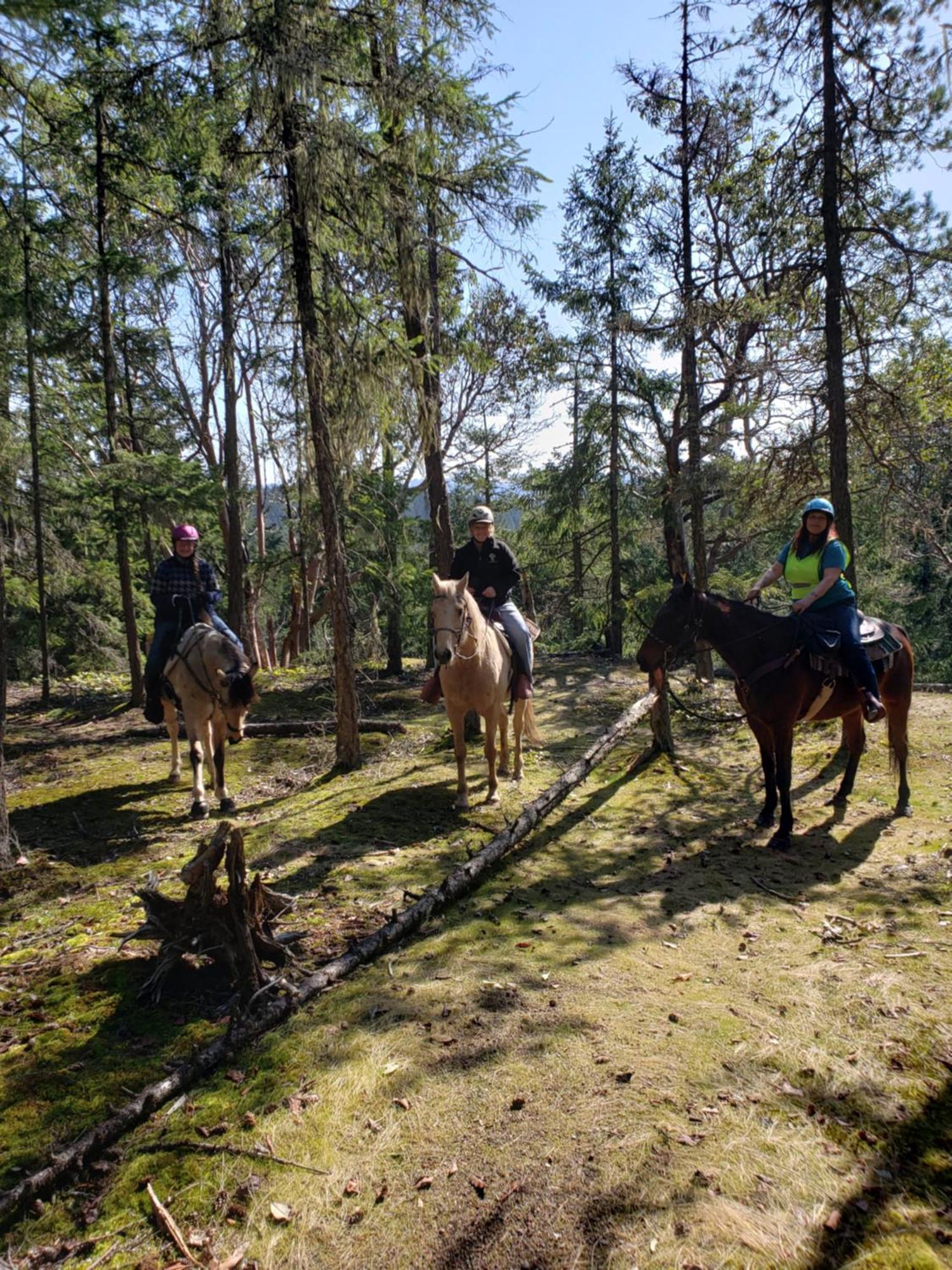 Paradise Acres Ranch Nanoose Bay エクステリア 写真