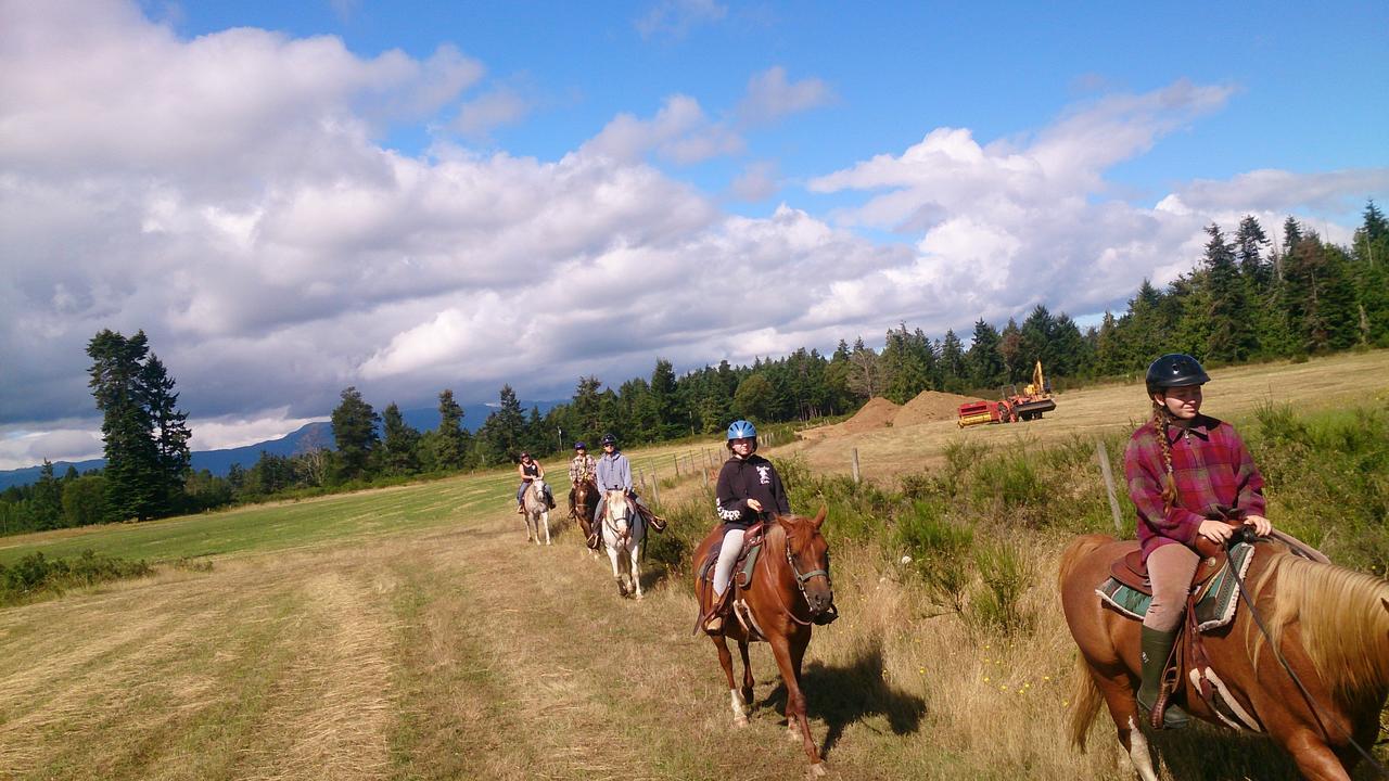 Paradise Acres Ranch Nanoose Bay エクステリア 写真