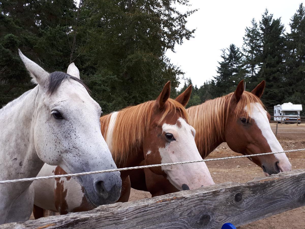 Paradise Acres Ranch Nanoose Bay エクステリア 写真