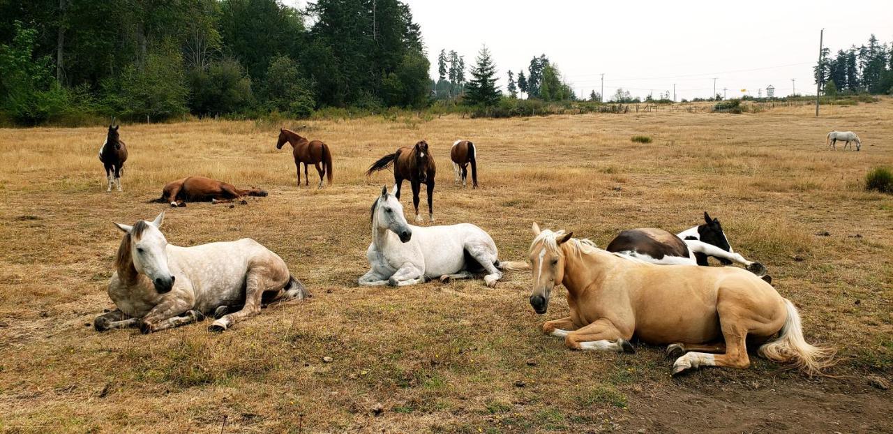 Paradise Acres Ranch Nanoose Bay エクステリア 写真