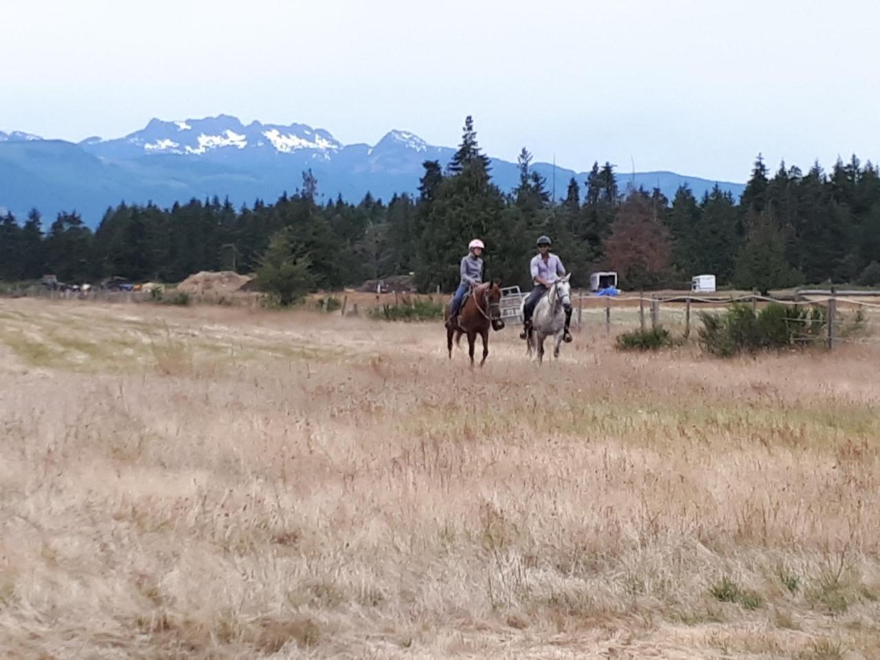 Paradise Acres Ranch Nanoose Bay エクステリア 写真