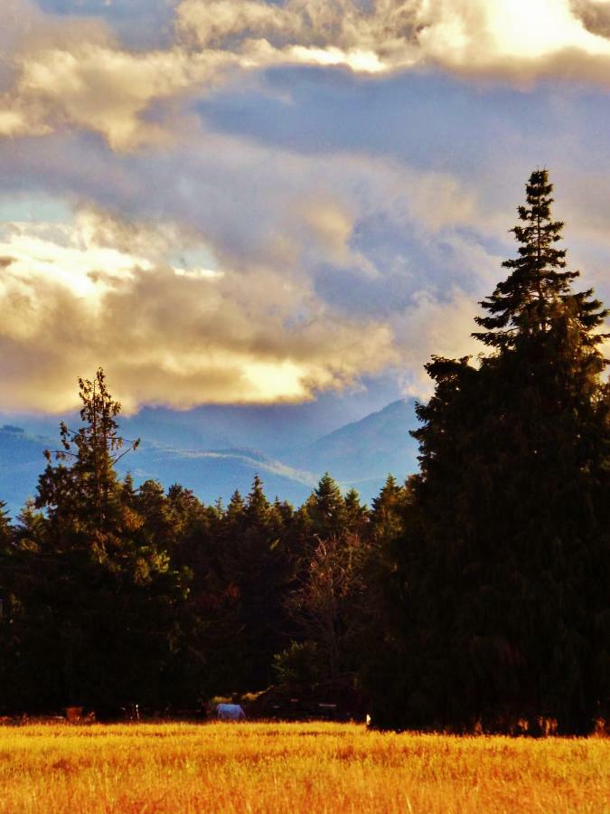 Paradise Acres Ranch Nanoose Bay エクステリア 写真