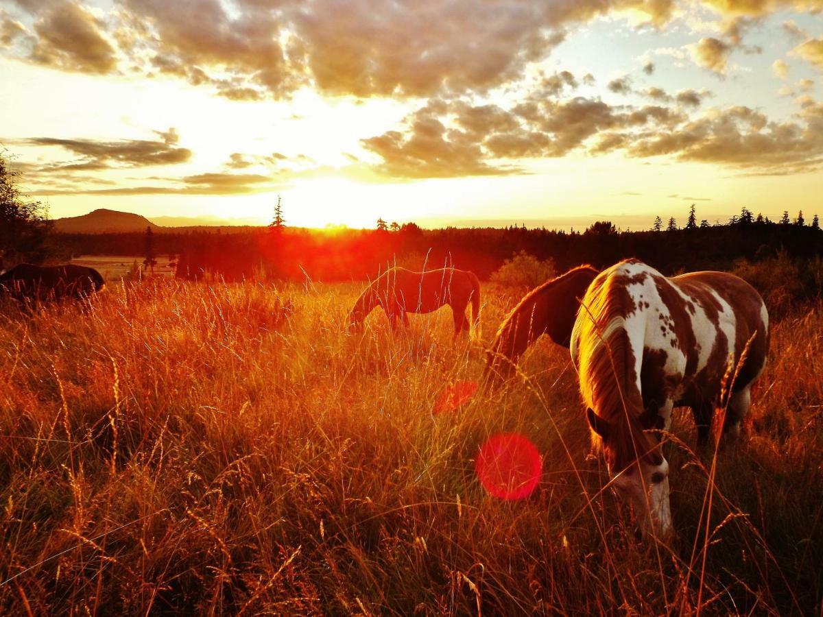 Paradise Acres Ranch Nanoose Bay エクステリア 写真